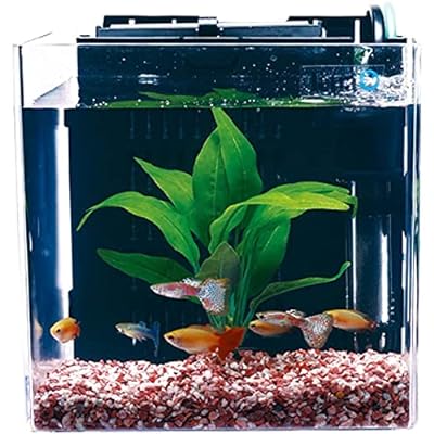 引き取り限定】下段のガラス水槽2個セット アクアリウム 最強