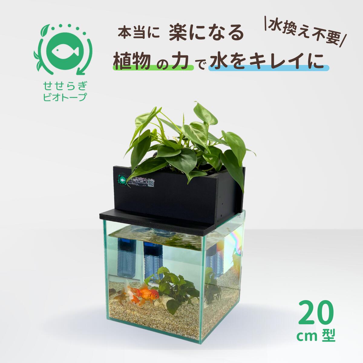 引き取り限定】下段のガラス水槽2個セット アクアリウム 最強