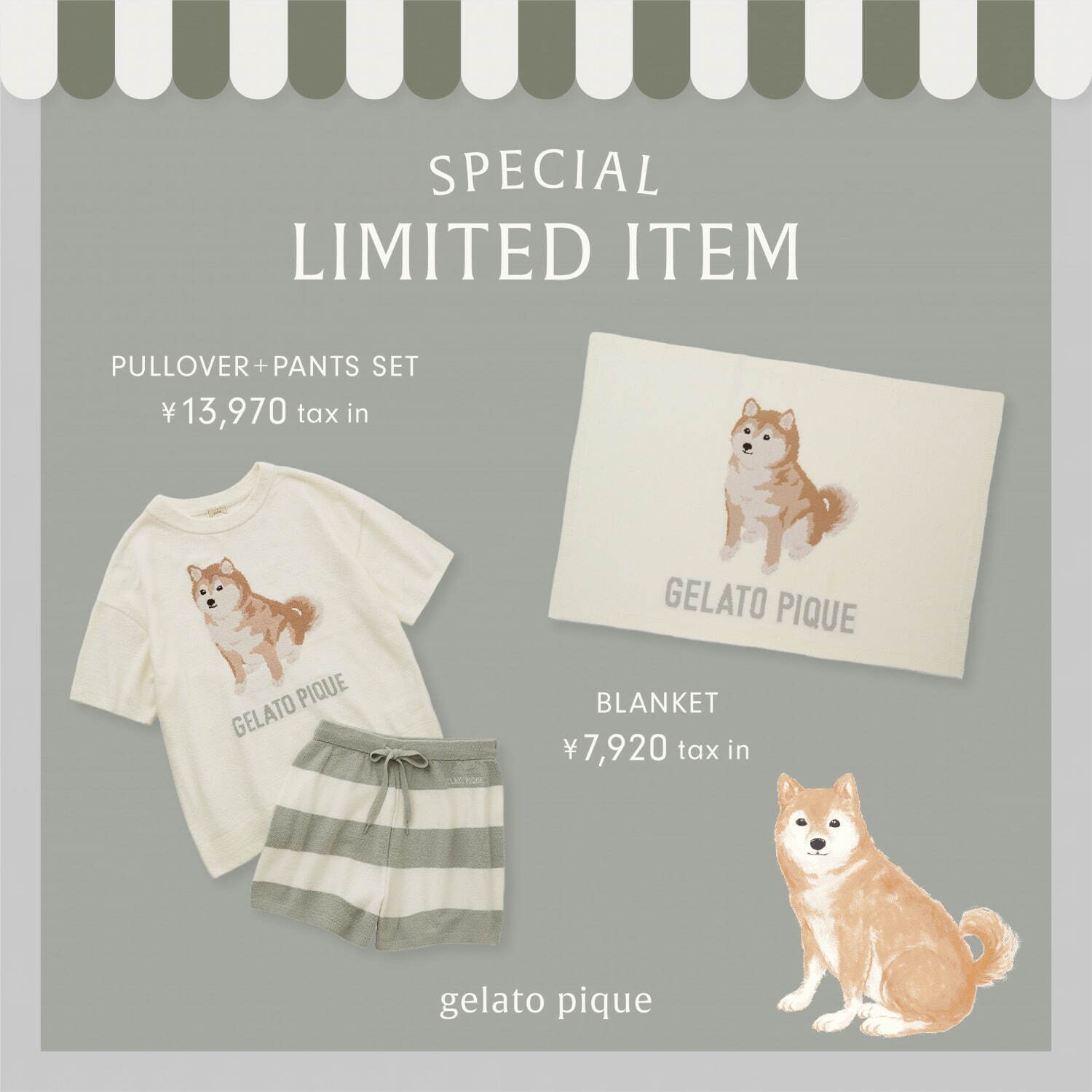 柴犬 ルームウェア上下 ジェラートピケ 限定デザイン 渋谷店限定