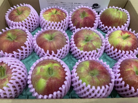 🍎【すっぱい夏りんご】シナノレッド3キロ箱 6玉〜15玉サイズ商品