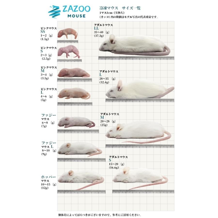 ☆みーちゃん☆国産冷凍マウス アダルトLL 20匹、ファジー50匹 冷凍