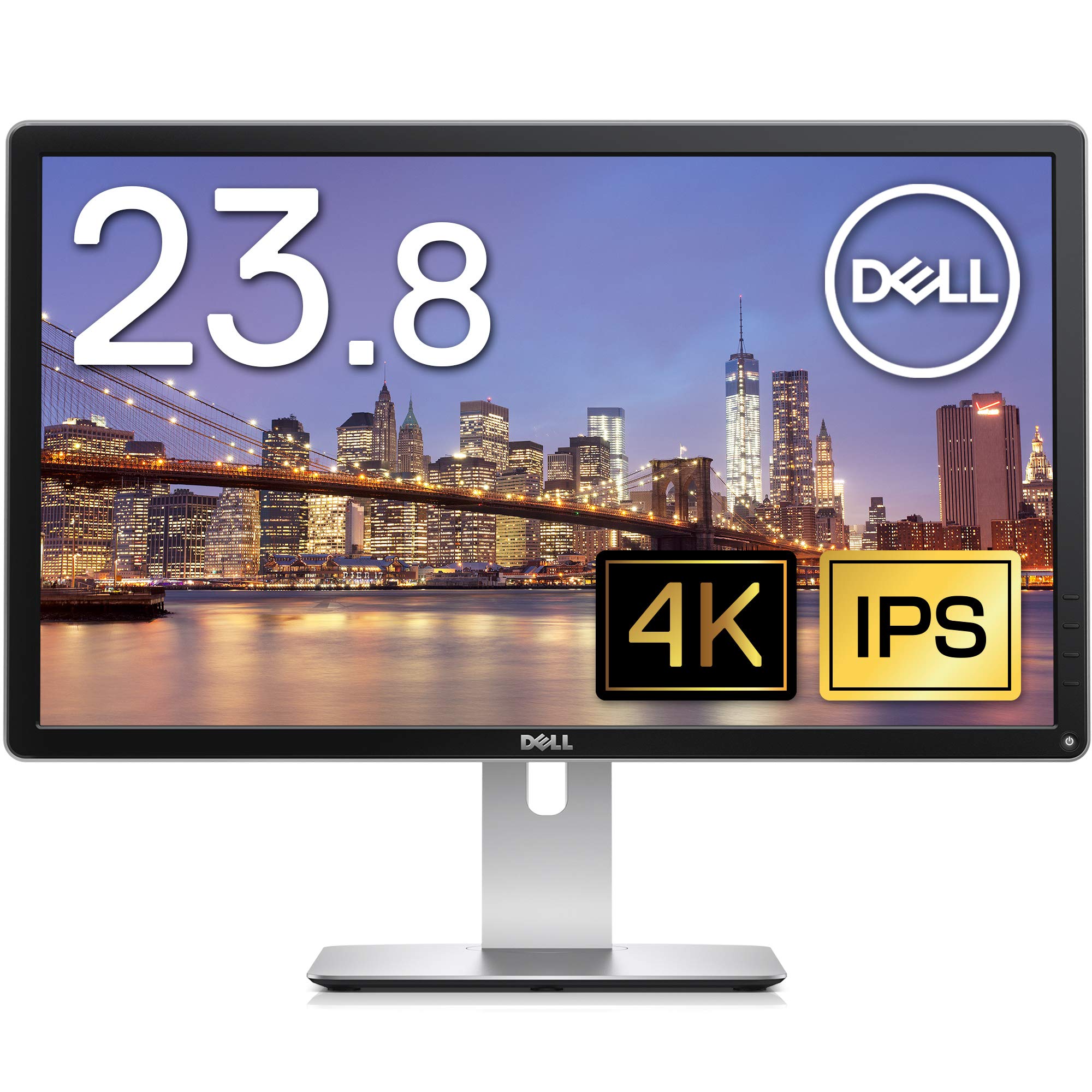 DELL 薄型モニター 本体 モニター - 100 Hz | Dell 日本