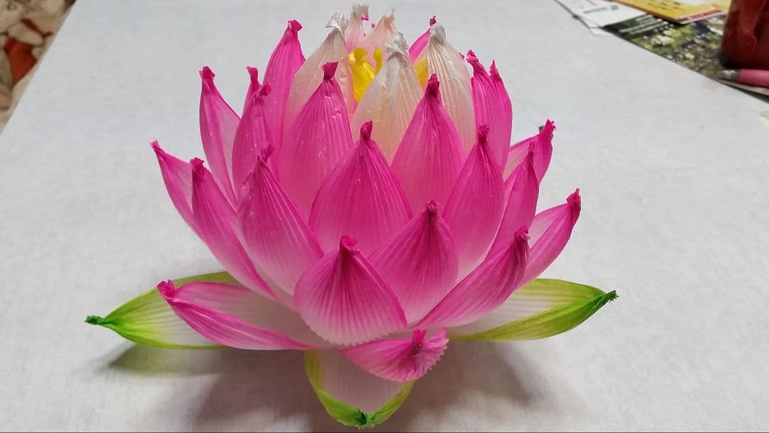 蓮の花の紙89 8色　24個　蓮の紙　韓紙　ハスの花　韓国