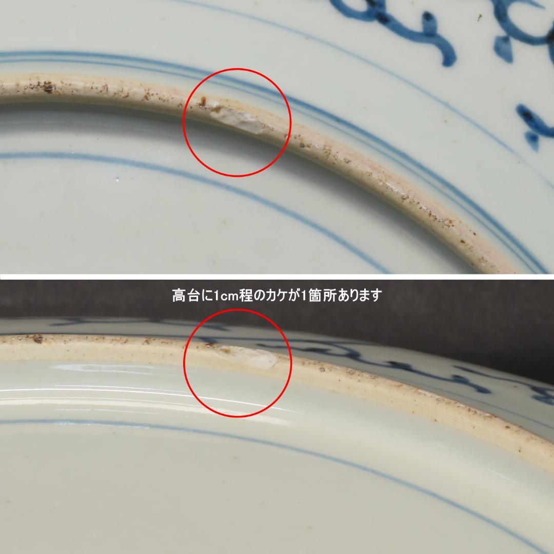 ⭕395 良くできた古伊万里写し 染付 全蛸唐草文 大皿 無傷