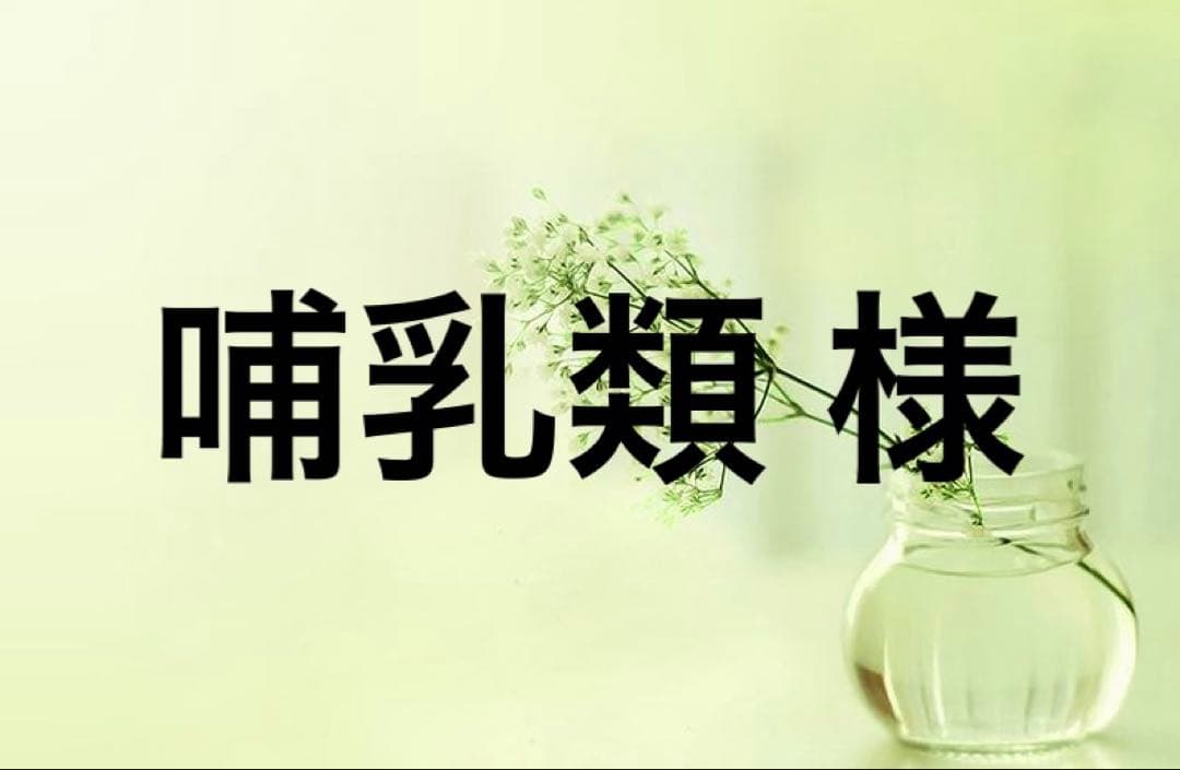 哺乳類