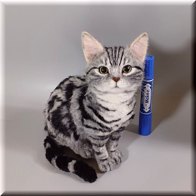 羊毛フェルト 猫 アメリカンショートヘア ねこ ネコ アメショ - MONT